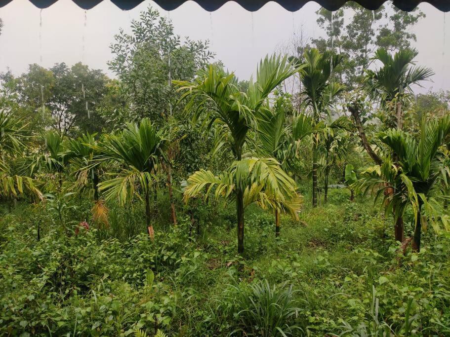 Kamanabillu Homestay, For Jog Falls Travellers Siddapur Exterior foto
